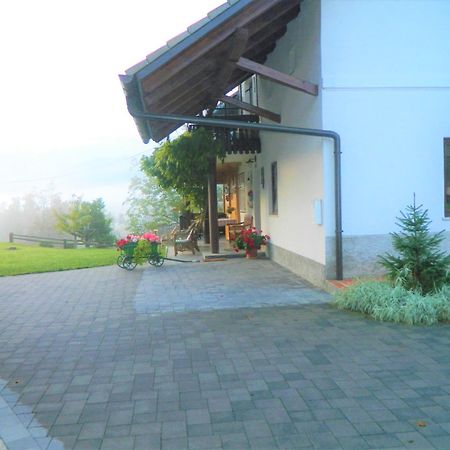 Apartma Biofit Bled Cameră foto