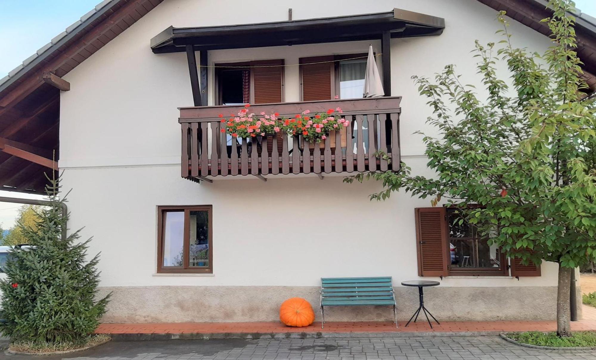 Apartma Biofit Bled Cameră foto