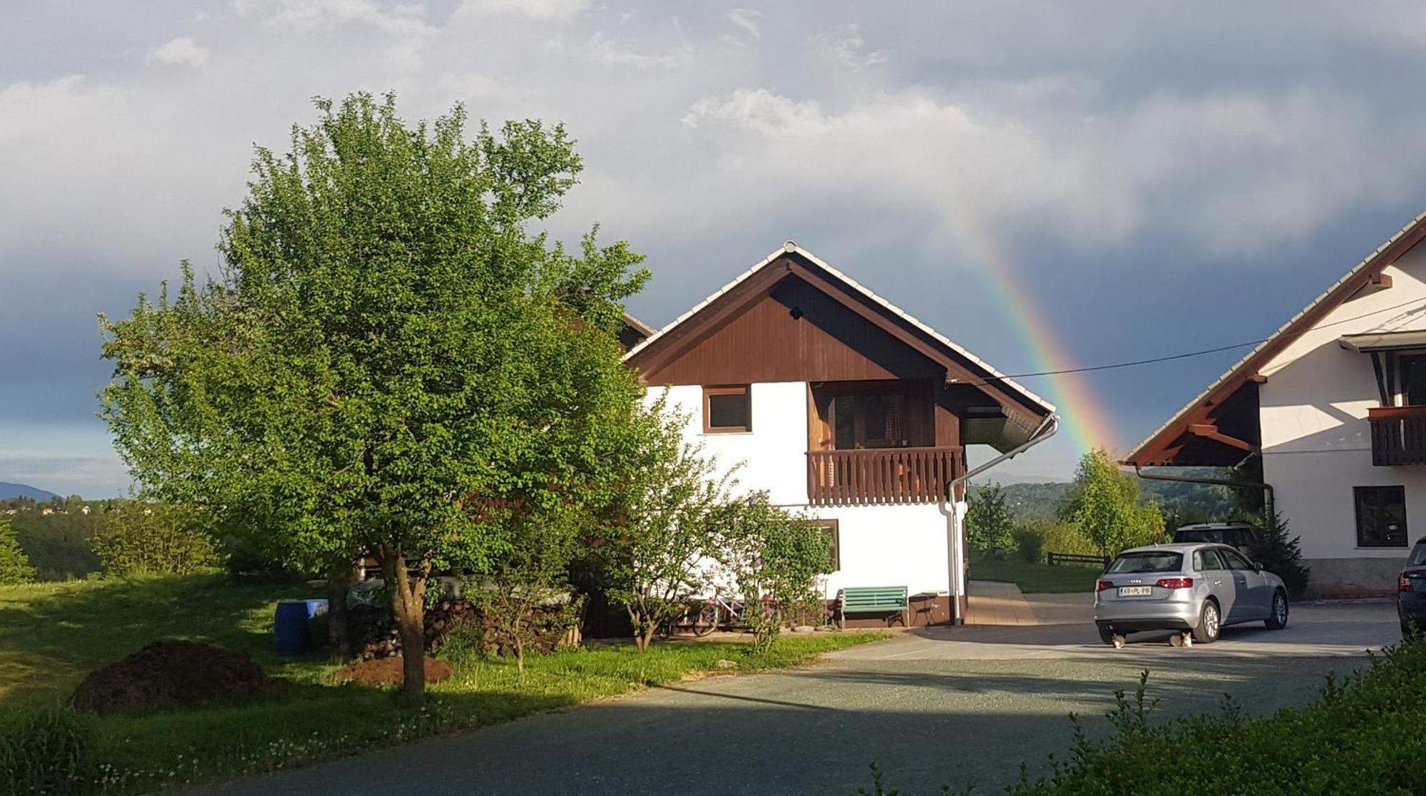 Apartma Biofit Bled Cameră foto